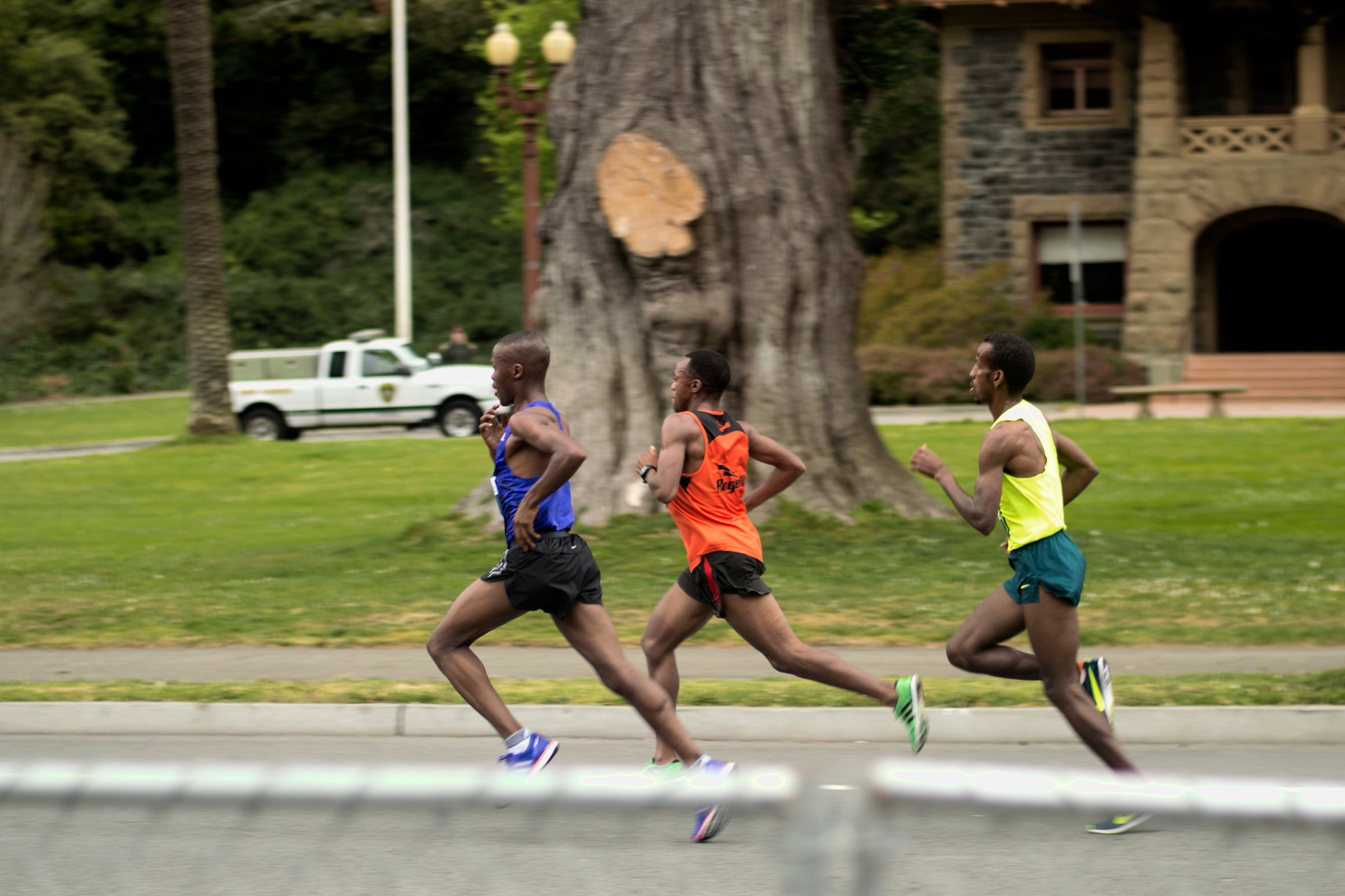 Head of the Pack