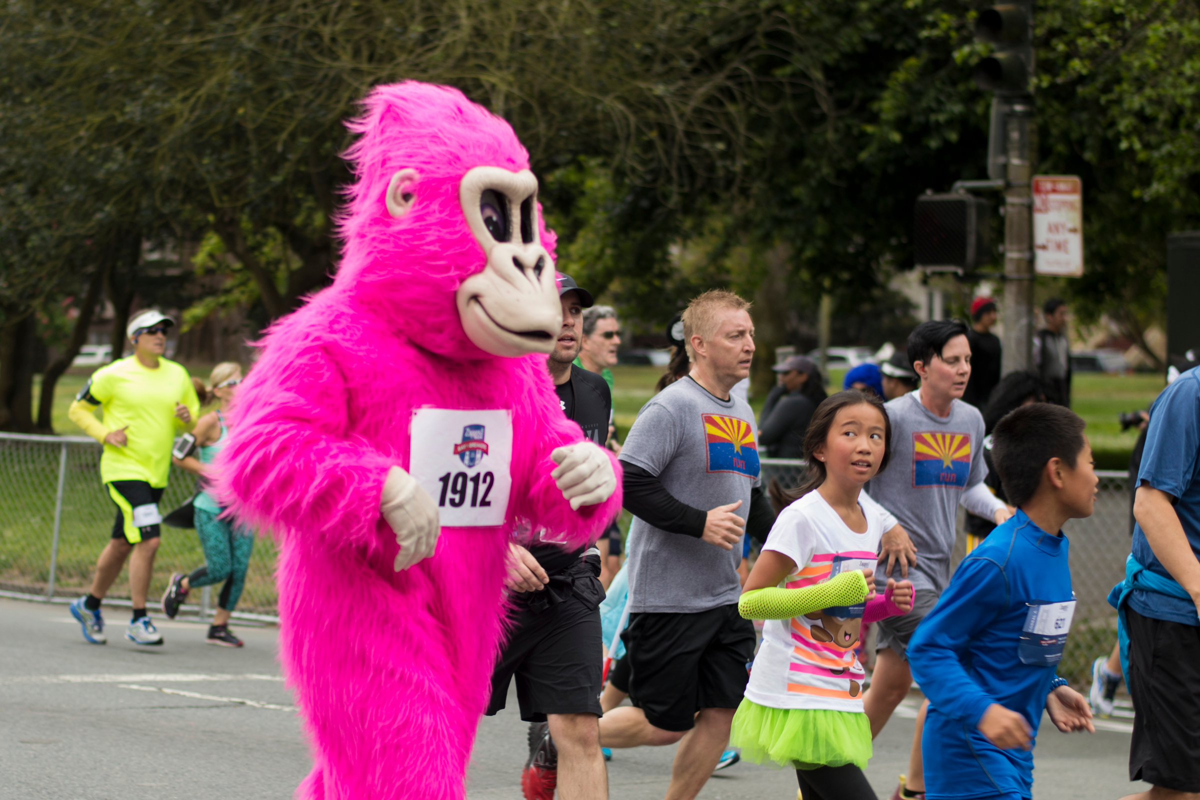 Giant Pink Gorilla