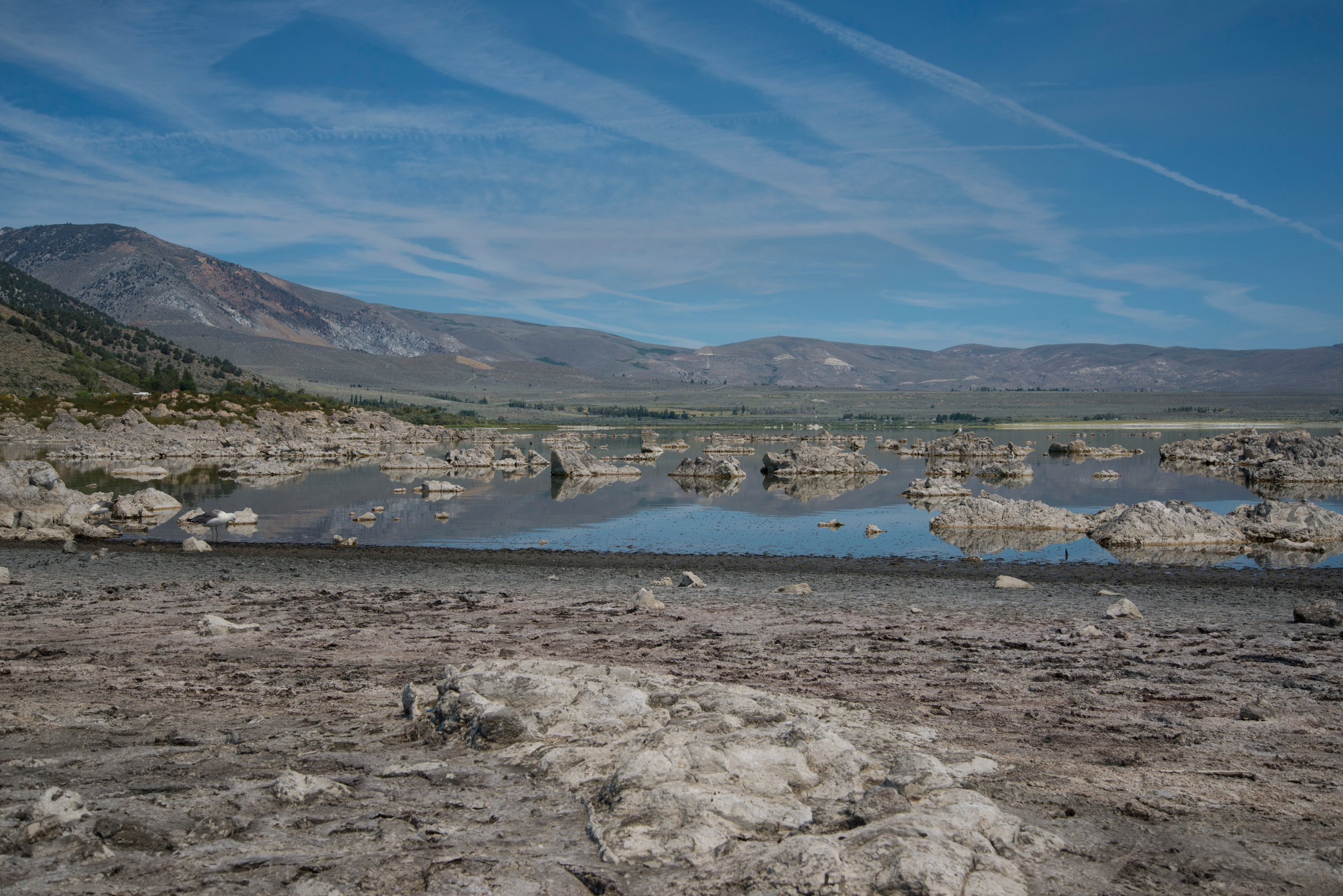 Mono Lake