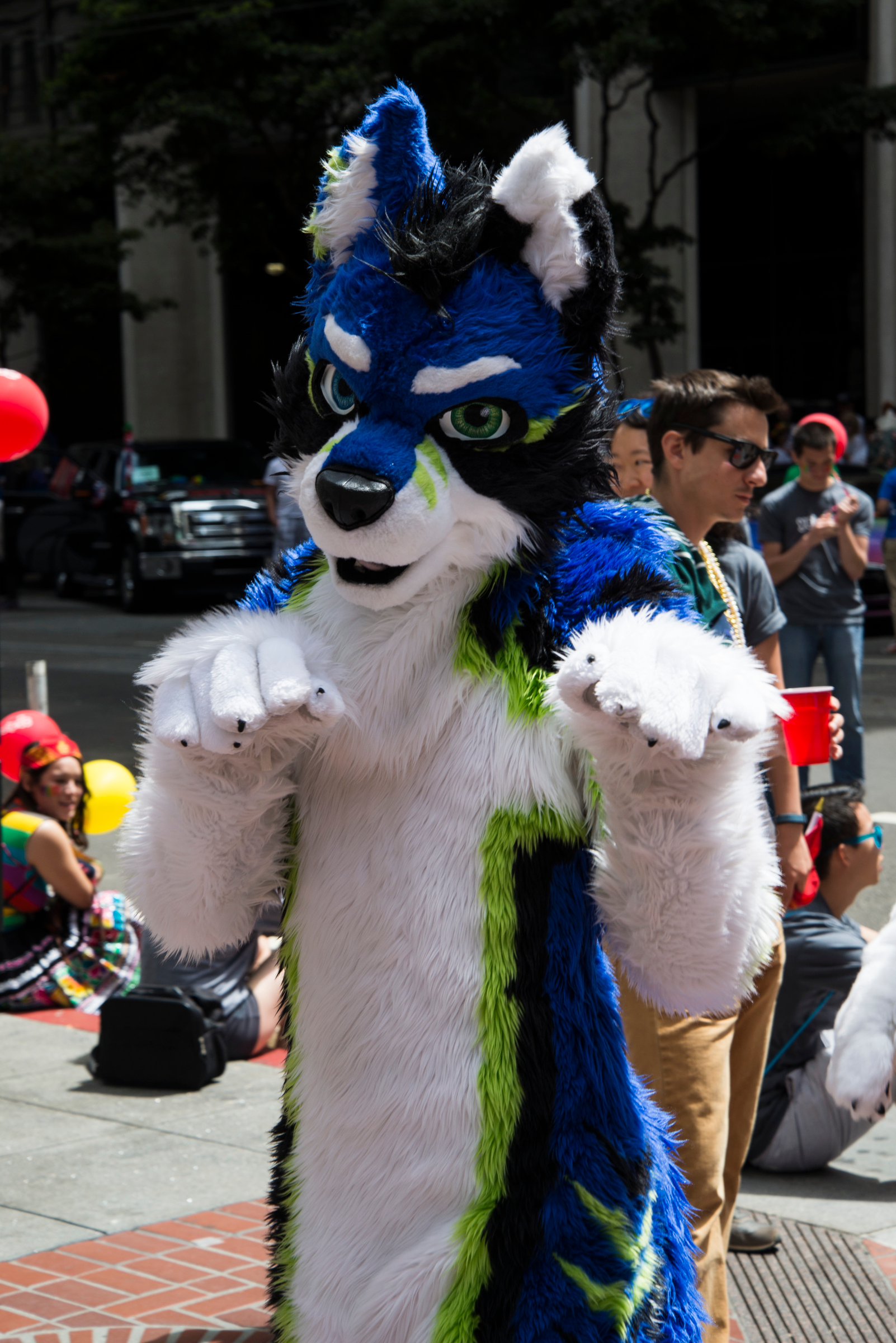 Playful Furry