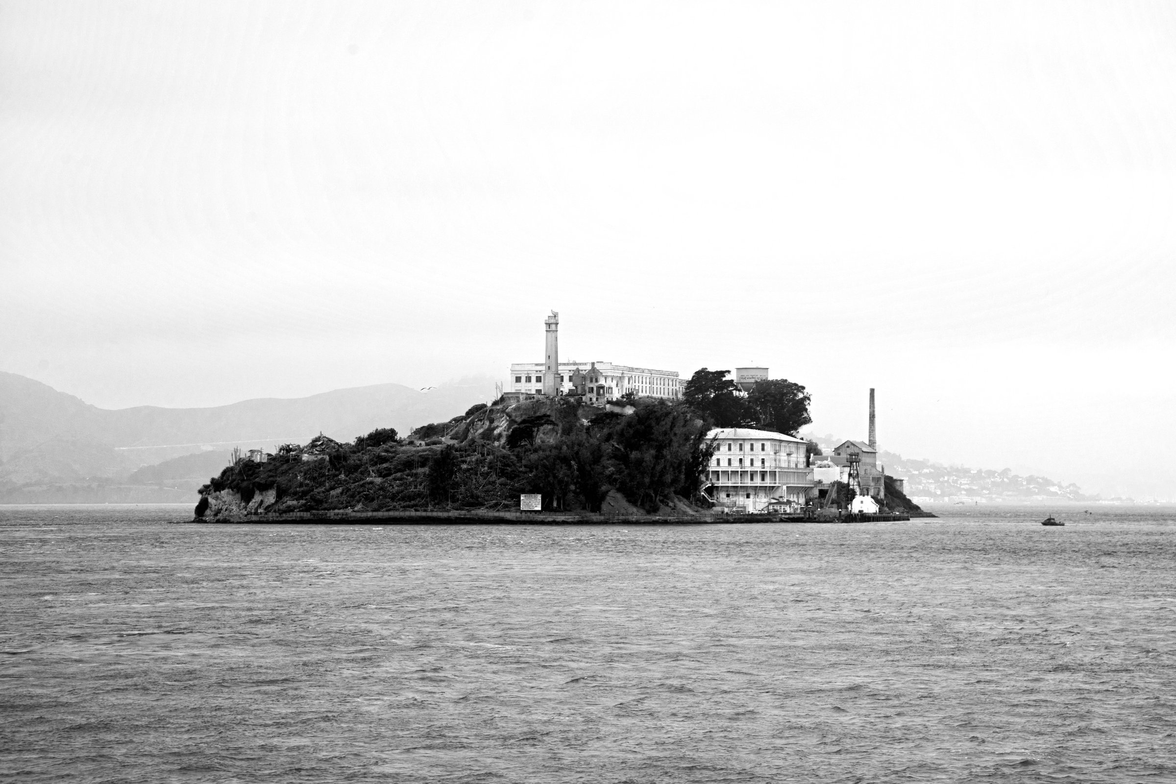 The Rock